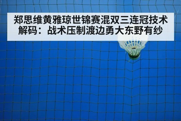 badminton net play